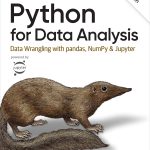 Python for Data Analysis