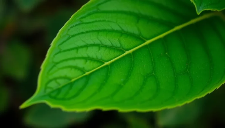 Implementing Image Compositing and Masking in Pillow