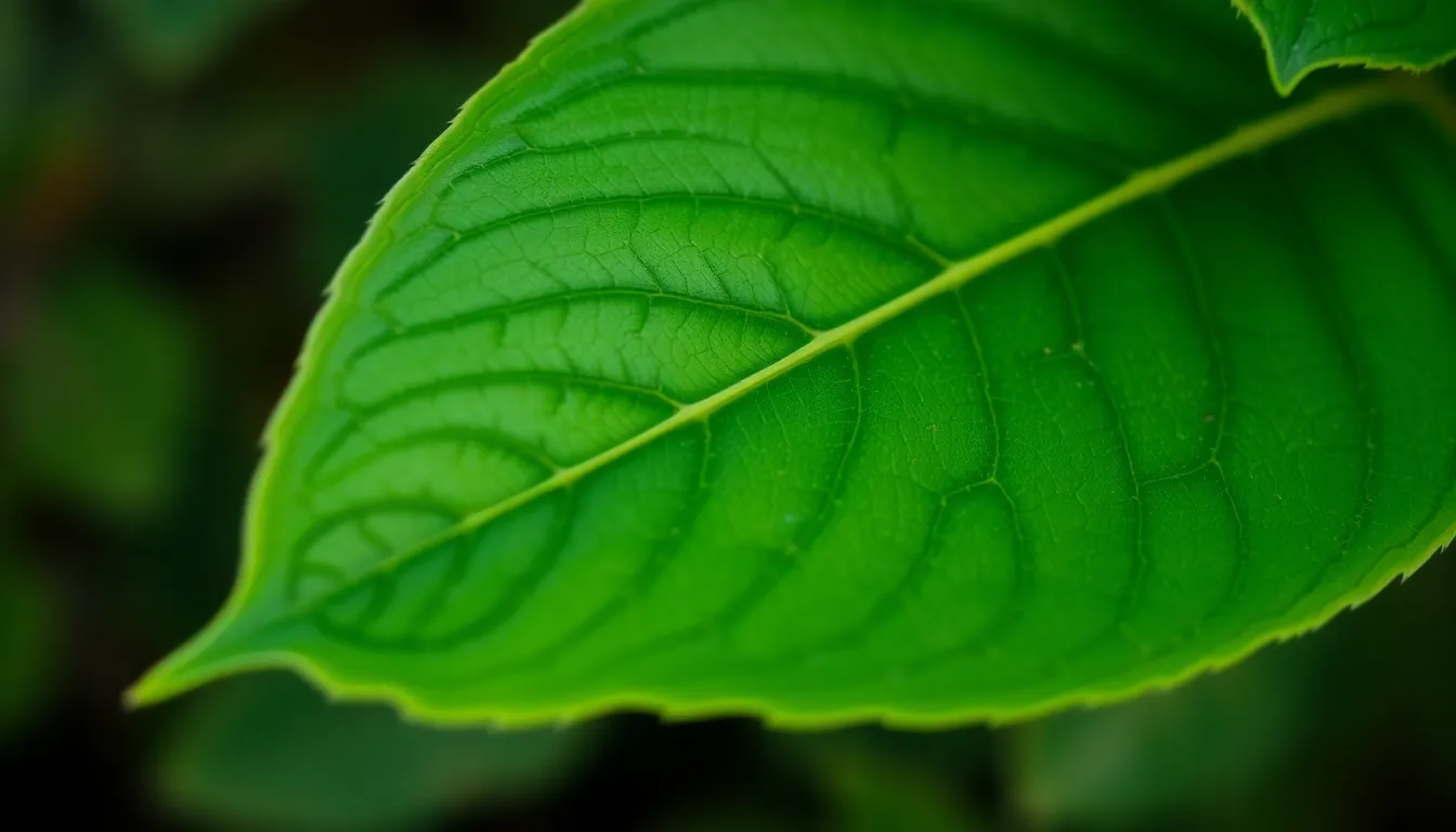 Implementing Image Compositing and Masking in Pillow